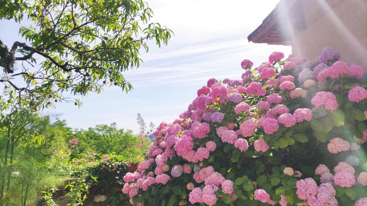Bed and Breakfast La Fontaine Du Mas Thiviers Экстерьер фото