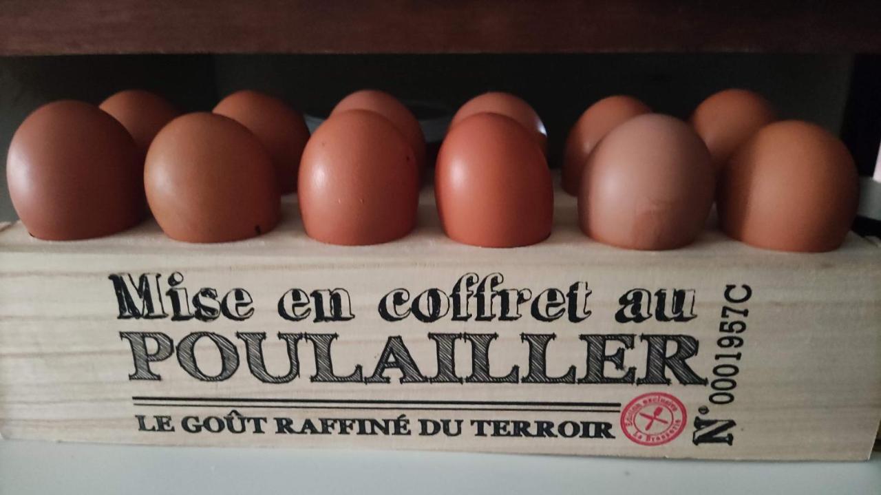 Bed and Breakfast La Fontaine Du Mas Thiviers Экстерьер фото